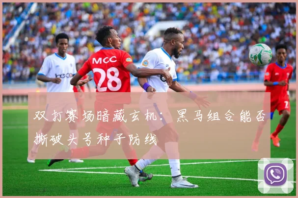 双打赛场暗藏玄机：黑马组合能否撕破头号种子防线