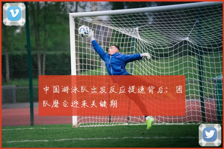 中国游泳队出发反应提速背后：团队磨合迎来关键期