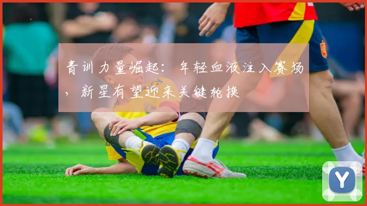 青训力量崛起：年轻血液注入赛场，新星有望迎来关键轮换
