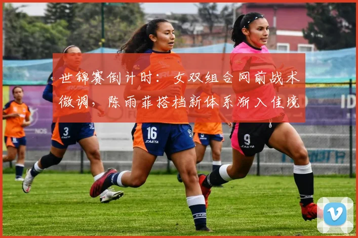 世锦赛倒计时：女双组合网前战术微调，陈雨菲搭档新体系渐入佳境